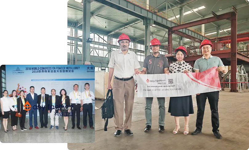 Profil de l'entreprise